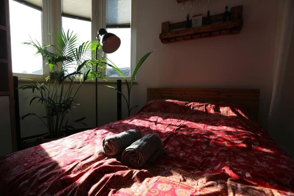 Appartement Luftiges Upcycling Im Eg - Zentral